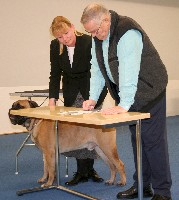 Breeder Academy 01122008